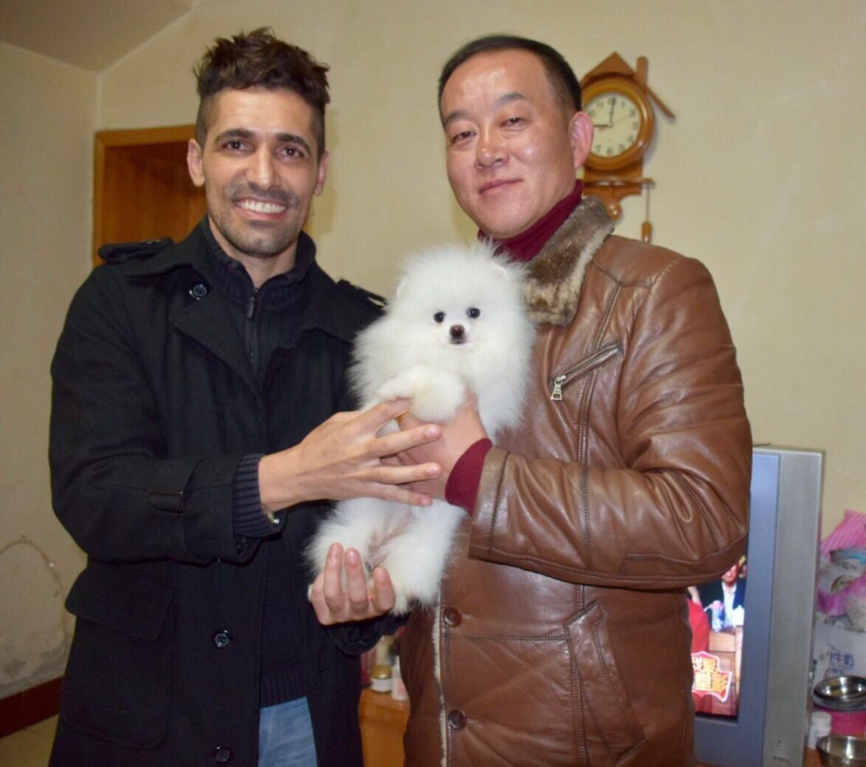 Jojo e Meimei WhatsApp Image 2024-12-23 at 19.00.21 (2)